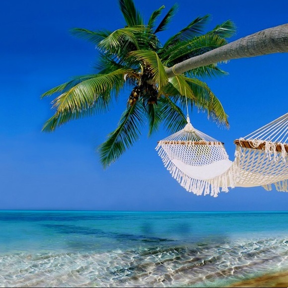 Meet your Posher, Deana - Picture 1 of 1